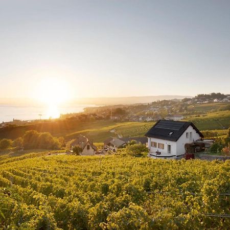 #Lavaux Hotel Lutry Ngoại thất bức ảnh