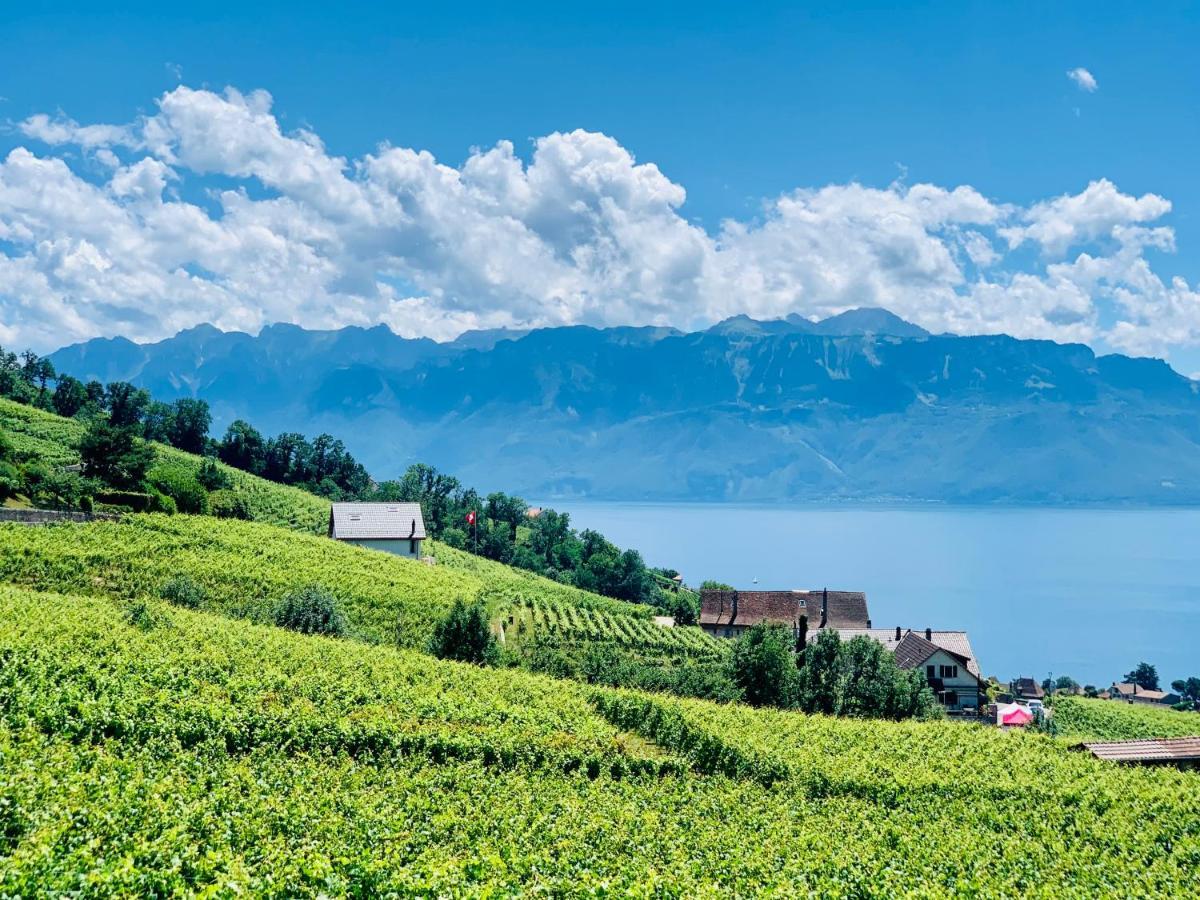 #Lavaux Hotel Lutry Ngoại thất bức ảnh