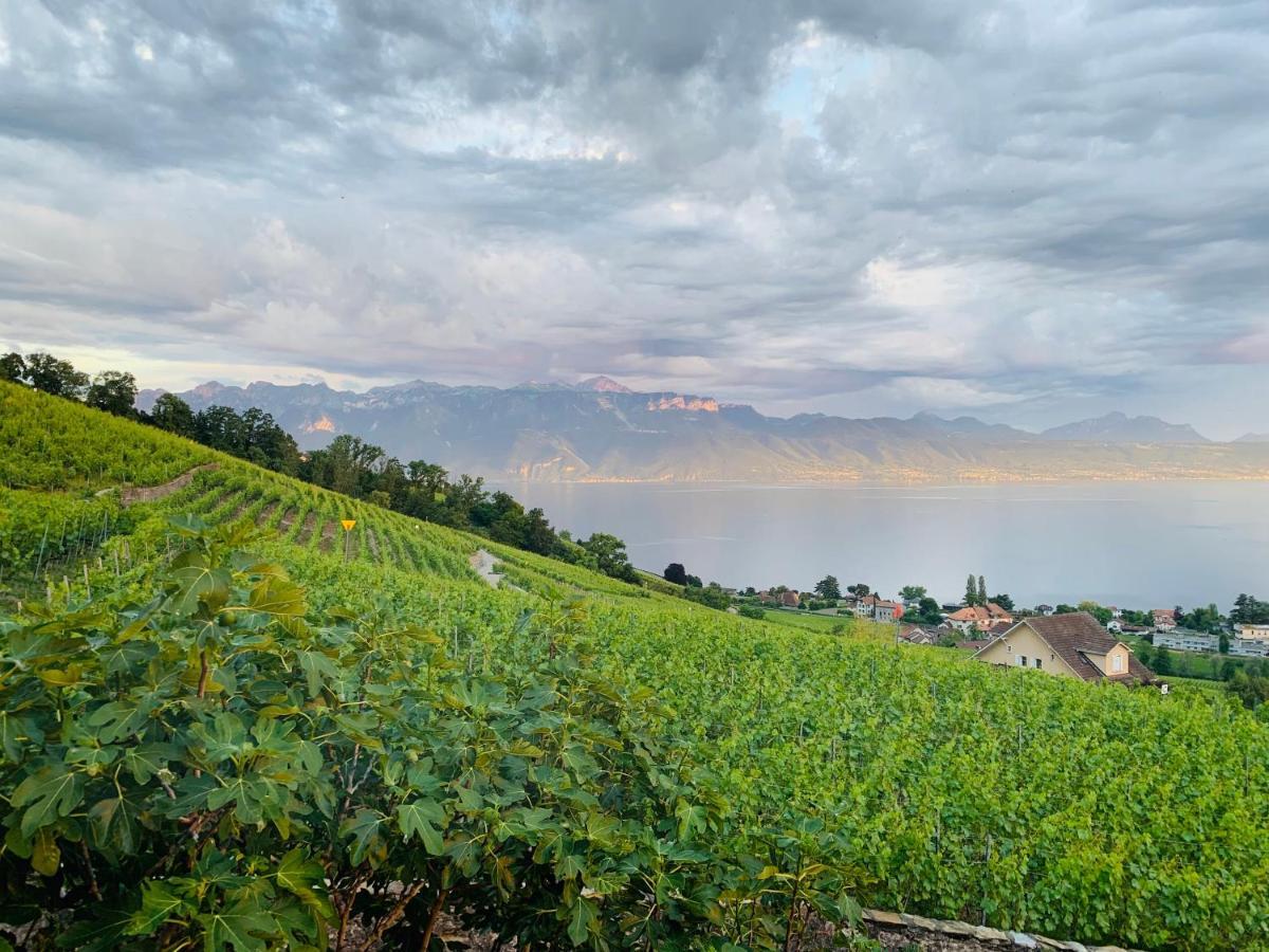 #Lavaux Hotel Lutry Ngoại thất bức ảnh