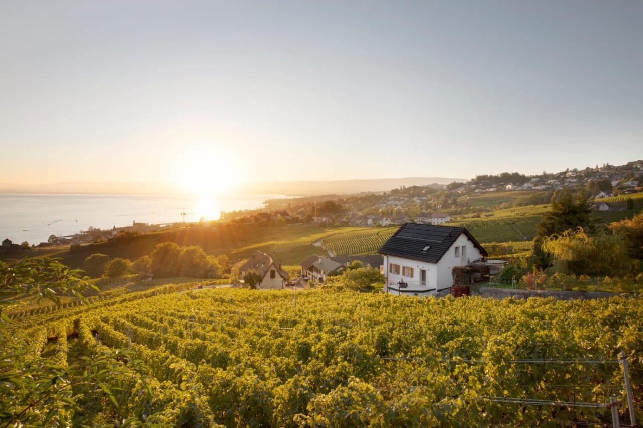 #Lavaux Hotel Lutry Ngoại thất bức ảnh